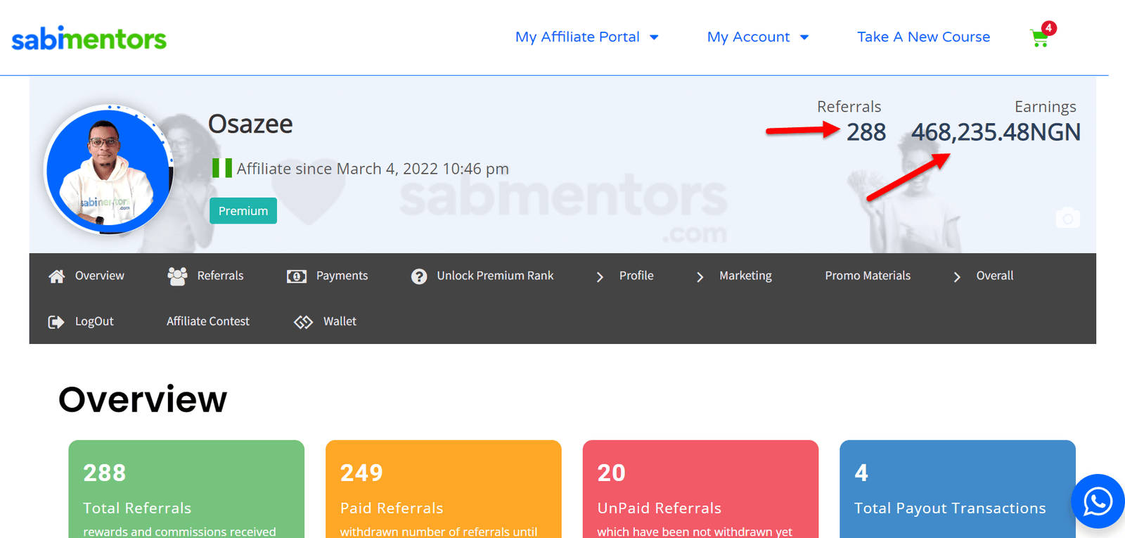 sabimentors affiliate earnings (1)
